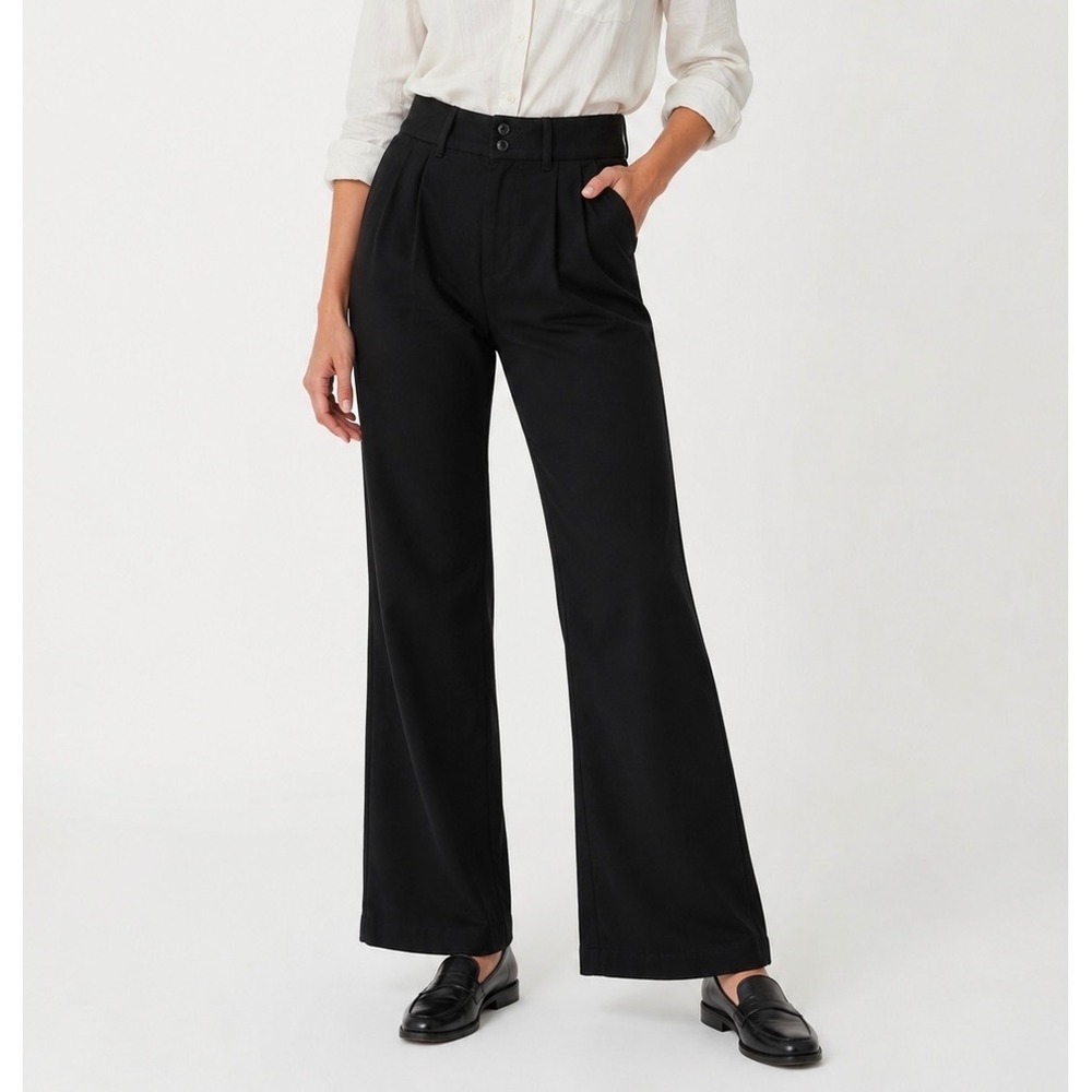 Paige Pleated Leenah Director Pants 24 Tall Black Wide Leg High Rise Trousers